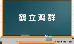 什么立鸡群成语是什么 什么立鸡群打一成语
