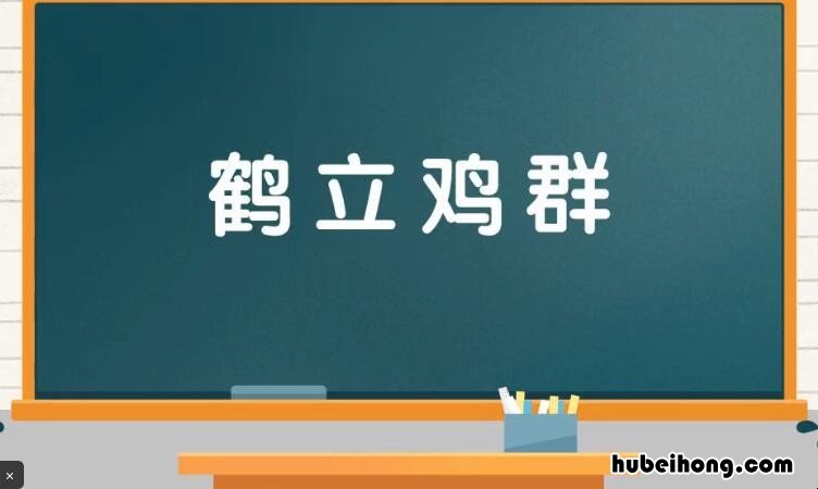 什么立鸡群成语是什么 什么立鸡群打一成语