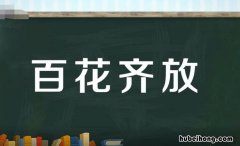 什么齐放词语有哪些 什么什么齐芳的成语四个字开头