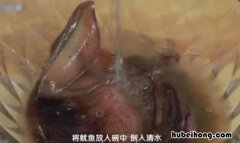 鱿鱼怎么清洗|嫌阌貌挥萌ツ谠?