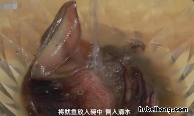 鱿鱼怎么清洗|嫌阌貌挥萌ツ谠?