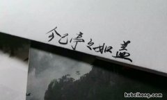今已亭亭如盖矣是什么意思 今已亭亭如盖矣怎么翻译