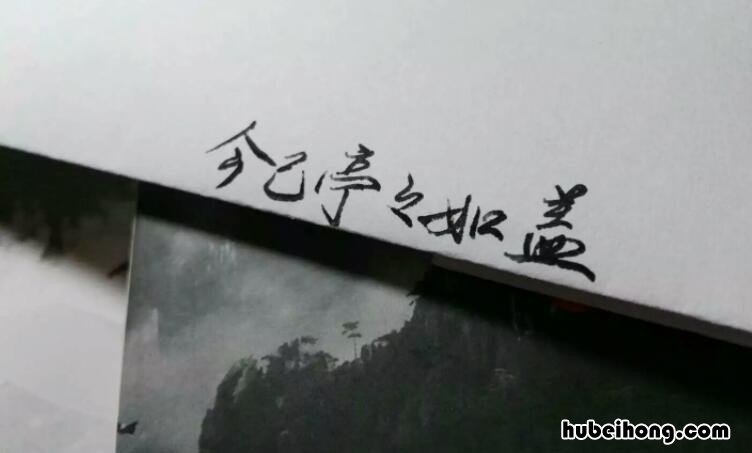 今已亭亭如盖矣是什么意思 今已亭亭如盖矣怎么翻译