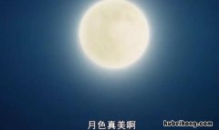 今晚月色真美下一句是什么 今晚月色真美拒绝怎么说