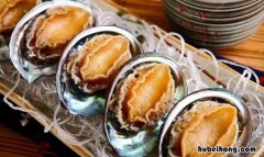 鲍鱼冷冻保质期是多久 鲍鱼冻冰箱里还可以吃么
