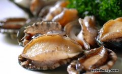 鲍鱼可以放冰箱冷冻吗 鲍鱼能放冰箱冷冻吗