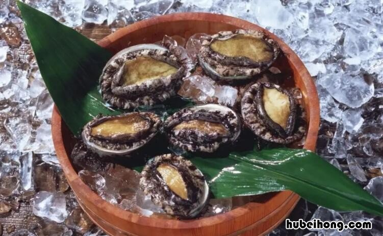 鲍鱼放冰箱能保存多久 鲍鱼在冰箱冷藏可以放多久