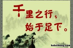 付出就有回报的名言名句有哪些 付出就有回报的诗