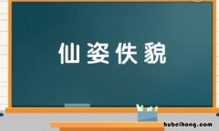 仙姿佚貌是什么意思 仙姿佚貌 梳云掠月的意思