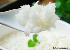 米饭的种类有哪些英语 米饭的种类有哪些名字
