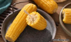 鲜玉米棒怎样长期保存 鲜玉米棒的储存方法