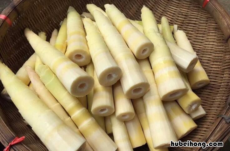 鲜竹笋怎么处理 毛竹笋怎么处理怎么做啊