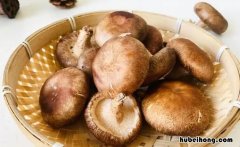 鲜香菇为什么变红了 新鲜香菇变成黑褐色的能吃吗