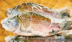 鲤鱼冷冻后还能吃吗 鲤鱼冰冻6个月还能吃吗?