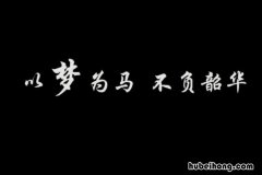 以梦为马不负昭华什么意思 以梦为马 不负韶华是什么意思怎么读