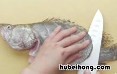 鳜鱼的做法有哪些 鳜鱼怎么做好呢