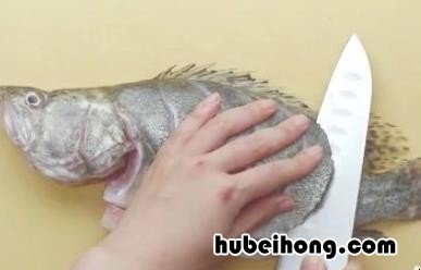 鳜鱼的做法有哪些 鳜鱼怎么做好呢