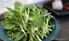 鸡毛菜是小白菜吗 鸡毛菜北方叫什么品种