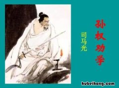 但当涉猎见往事耳的意思是什么 但当涉猎见往事耳但的意思
