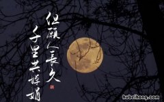 但愿人长久千里共婵娟的意思是什么 但愿人长久千里共婵娟这两句诗是什么意思