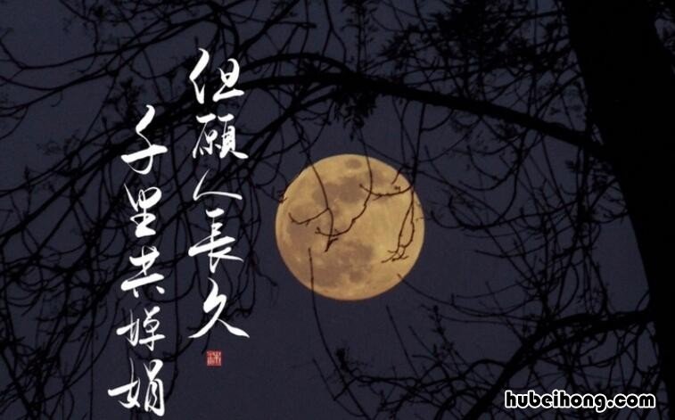 但愿人长久千里共婵娟的意思是什么 但愿人长久千里共婵娟这两句诗是什么意思