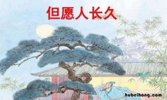 但愿人长久是哪首诗 但愿人长久是哪位诗人写的