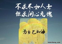 但求问心无愧的上一句是什么 但求无愧我心上一句是