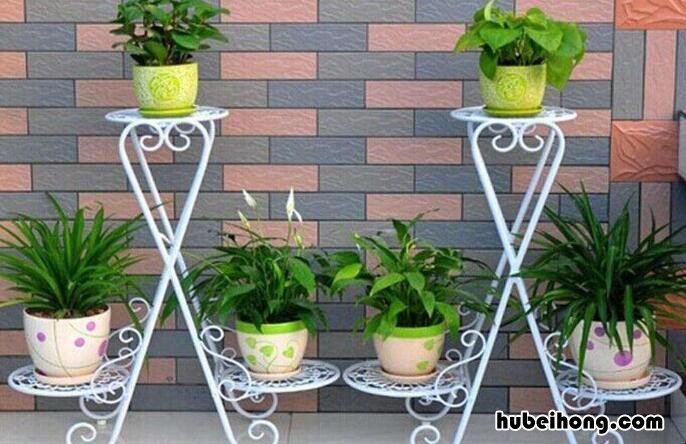 花架怎么装饰 花架简约