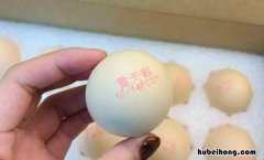 黄天鹅鸡蛋与鸡蛋有什么区别 黄天鹅鸡蛋真能生吃吗