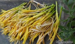 黄花菜不能和什么一起吃 黄花菜不能和什么一起吃?