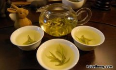 黄茶是什么茶 黄茶是什么茶啊