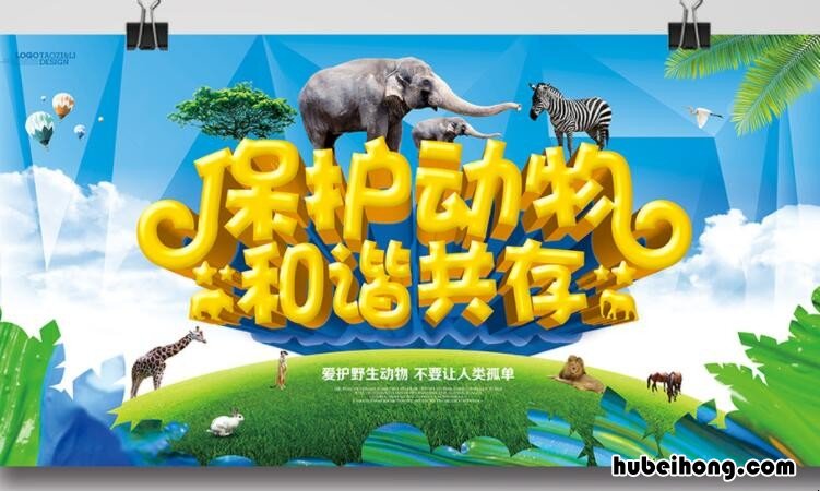 保护动物的温暖宣传语有哪些 关于保护动物的宣传语有哪些三年级