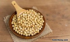 黄豆泡多久可以煮 黄豆泡多久可以煮粥吃