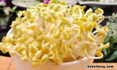 黄豆芽发绿能吃吗 黄豆芽发绿了能不能吃了