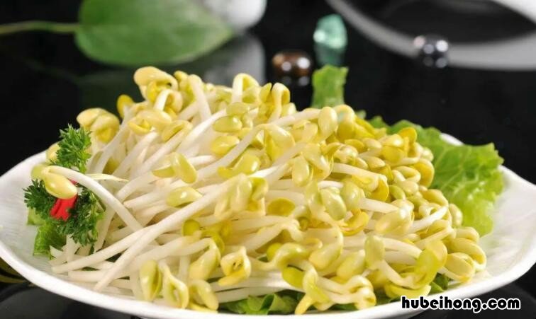 黄豆芽热量高吗 女人为什么要少吃豆芽