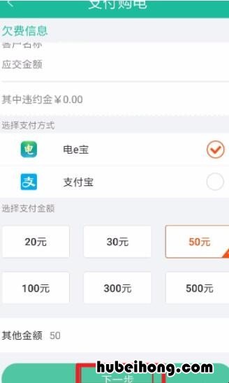 如何在网上交电费 网上怎么购电费