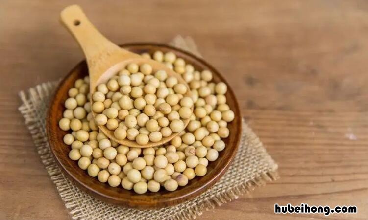 黄豆是发物吗 新鲜黄豆的营养