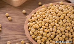 黄豆是大豆吗 黄豆是大豆吗百度百科