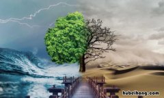 保护环境的公益广告词有哪些 保护环境的公益广告宣传语