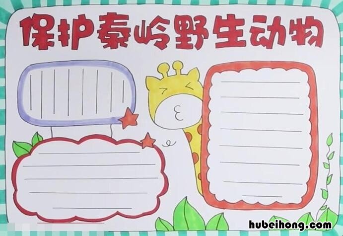 保护秦岭野生动物手抄报怎么画 保护秦岭保护动物手抄报