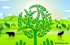保护自然的公益广告词有哪些 保护自然环境的公益广告词和宣传标语
