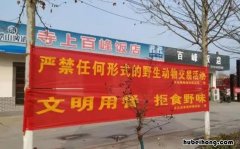保护野生动物的宣传标语有哪些 保护野生动物的宣传标语怎么写