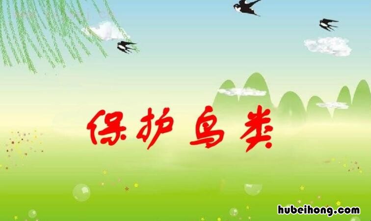 保护鸟类的宣传语有哪些 保护鸟的宣传语怎么写
