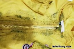 如何除掉衣服上的霉斑 衣服去除霉斑最快的方法