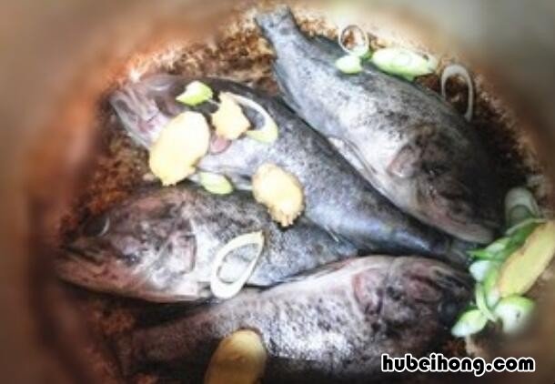 黑鱼汤怎么做 怎样做鱼汤好喝又营养丰富