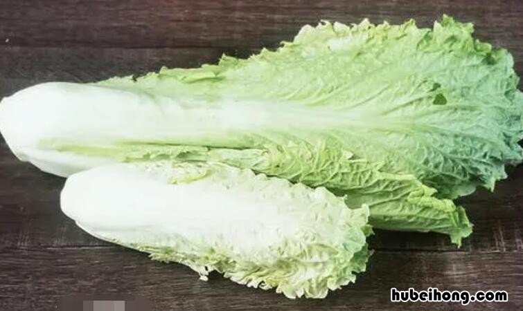 龙牙白菜与大白菜的区别是什么 龙牙白菜学名叫什么