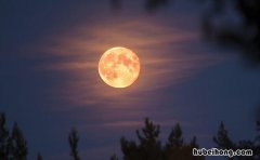 偷天换日有哪些造句 偷天换地造句二年级下册