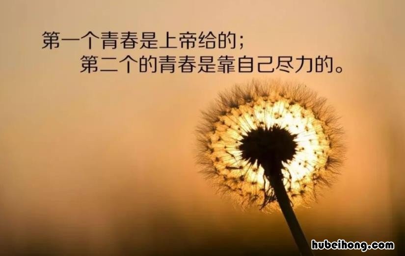 关于友情的句子有哪些 关于友情的句子有哪些短句