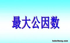 公因数和公约数的区别是什么 最大公约数和最大公因数是一个概念吗