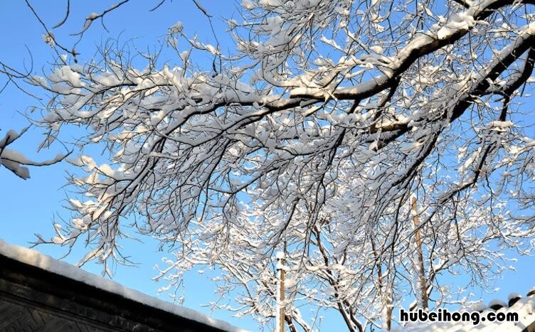 关于春雪的诗句有哪些 关于春雪诗词